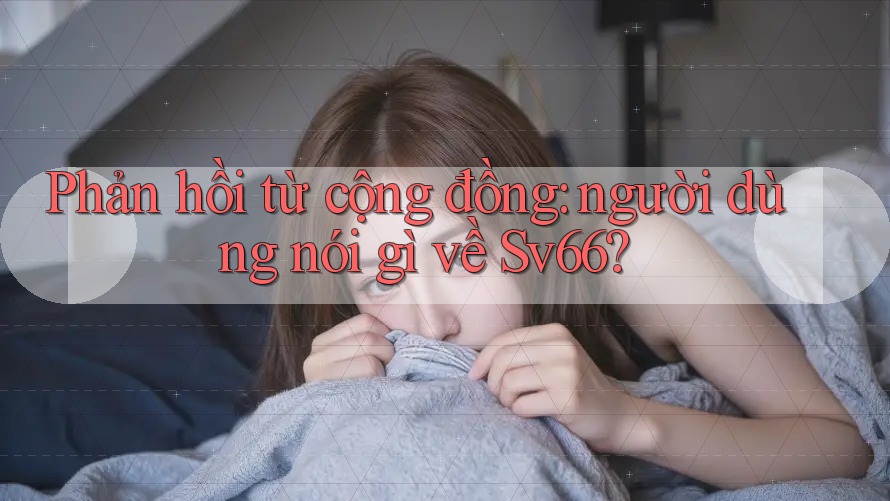 Phản hồi từ cộng đồng: người dùng nói gì về sv66? Phản hồi từ cộng đồng: người dùng nói gì về sv66?