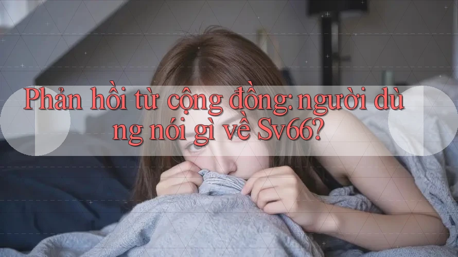 Phản hồi từ cộng đồng: người dùng nói gì về Sv66? Phản hồi từ cộng đồng: người dùng nói gì về Sv66?