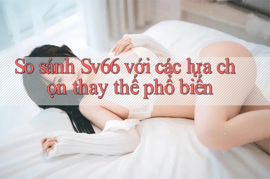 So sánh sv66 với các lựa chọn thay thế phổ biến So sánh sv66 với các lựa chọn thay thế phổ biến