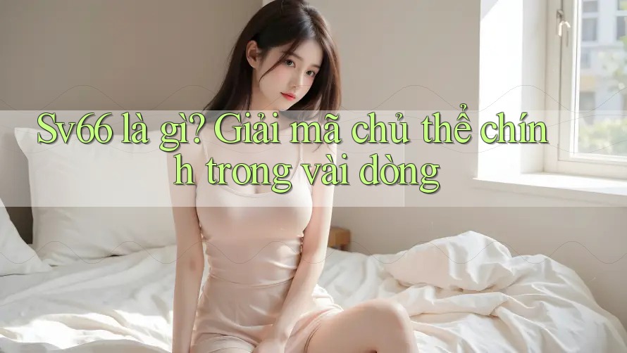 Sv66 là gì? Giải mã chủ thể chính trong vài dòng