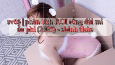 sv66 phân tích ROI tổng đài miễn phí (2025)   chính thức