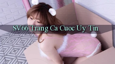 sv66  trang ca cuoc uy tín