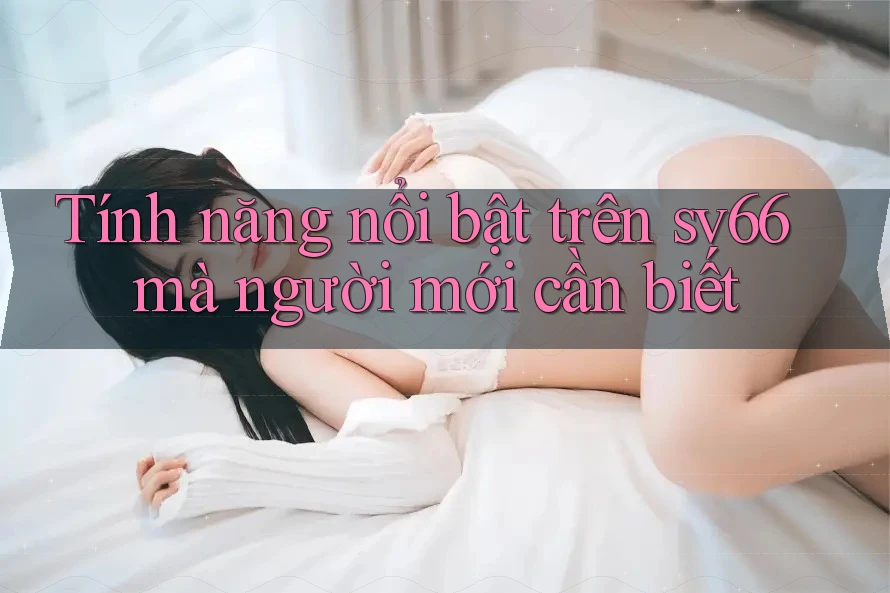 Tính năng nổi bật trên sv66 mà người mới cần biết Tính năng nổi bật trên sv66 mà người mới cần biết