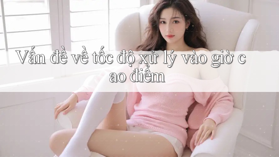 Vấn đề về tốc độ xử lý vào giờ cao điểm Vấn đề về tốc độ xử lý vào giờ cao điểm
